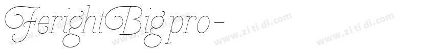 FerightBig pro字体转换